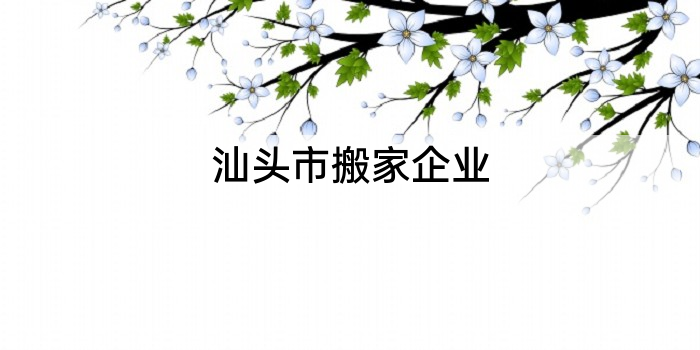 汕头市搬家企业