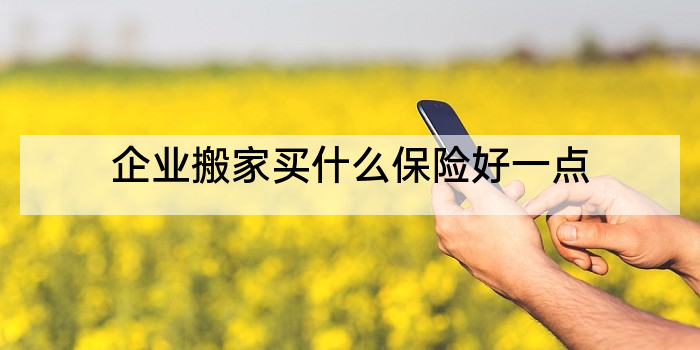 企业搬家买什么保险好一点