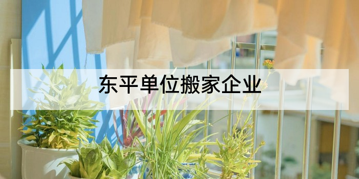 东平单位搬家企业