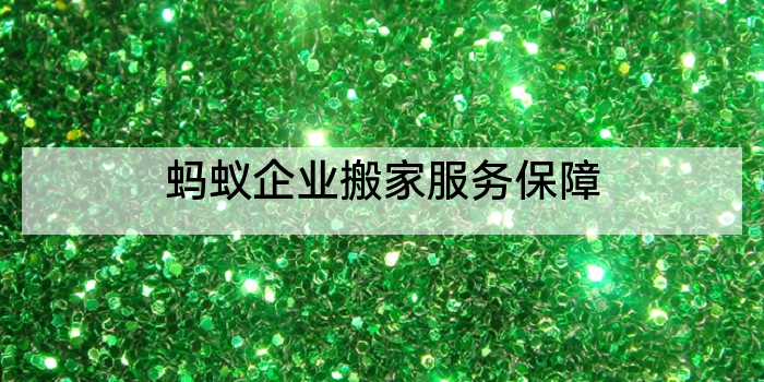 蚂蚁企业搬家服务保障