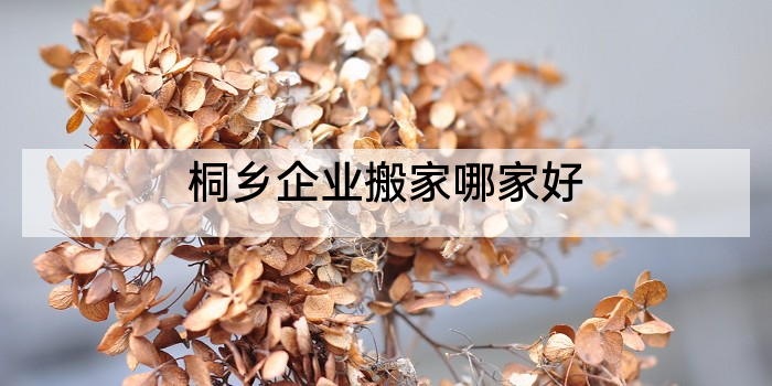 桐乡企业搬家哪家好