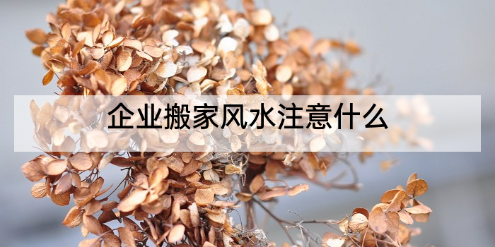 企业搬家风水注意什么