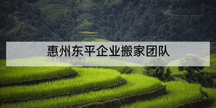 惠州东平企业搬家团队