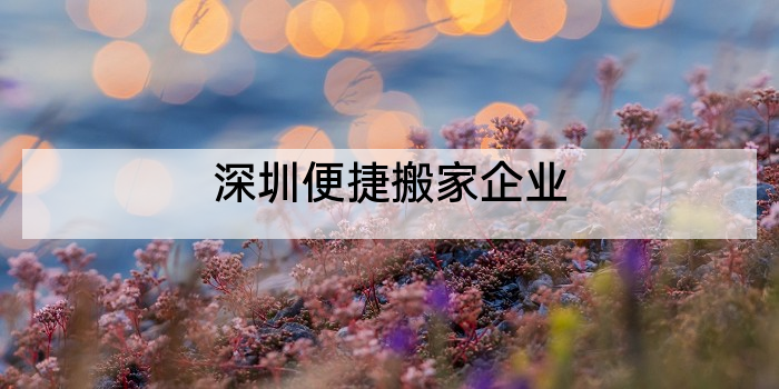 深圳便捷搬家企业