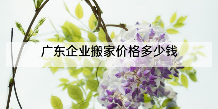 广东企业搬家价格多少钱