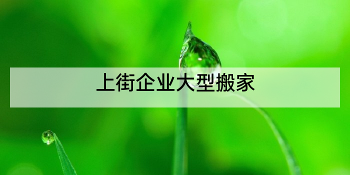 上街企业大型搬家