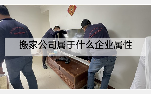 搬家公司属于什么企业属性