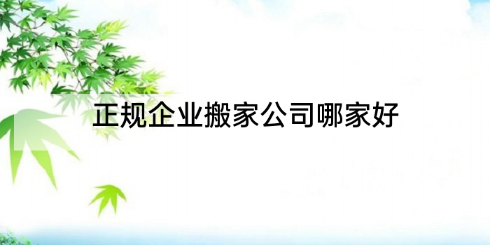 正规企业搬家公司哪家好