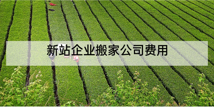 新站企业搬家公司费用