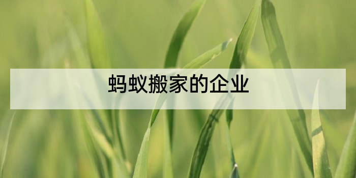 蚂蚁搬家的企业