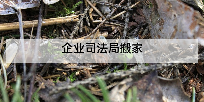 企业司法局搬家