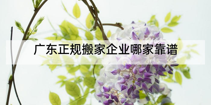广东正规搬家企业哪家靠谱