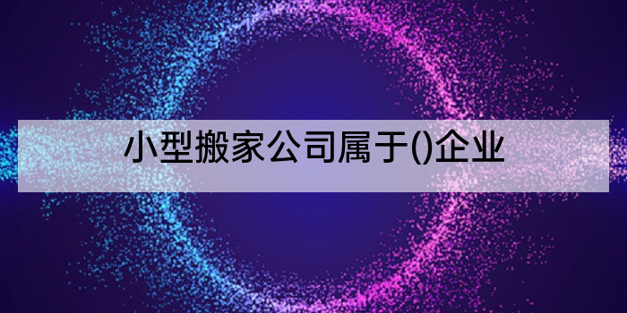 小型搬家公司属于()企业