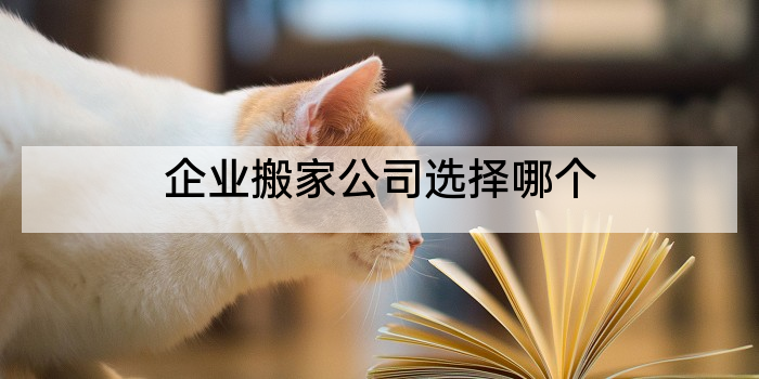 企业搬家公司选择哪个