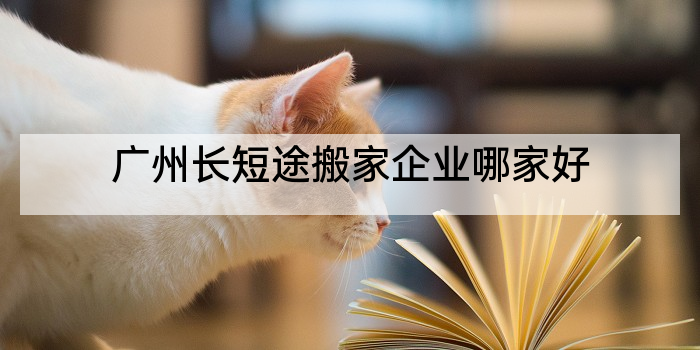 广州长短途搬家企业哪家好