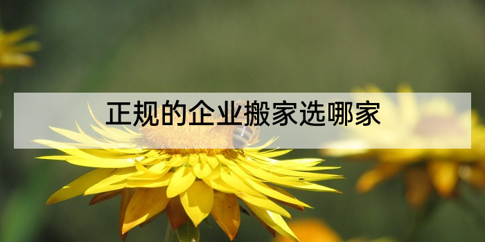 正规的企业搬家选哪家