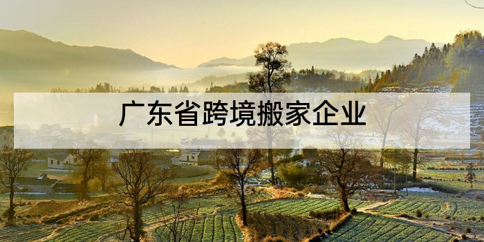 广东省跨境搬家企业