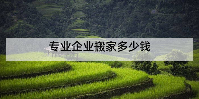 专业企业搬家多少钱