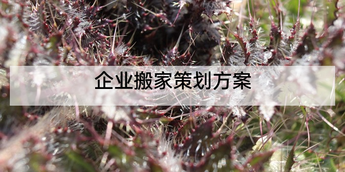 企业搬家策划方案