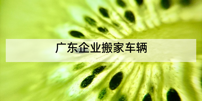 广东企业搬家车辆