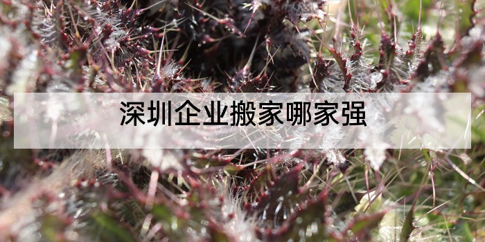 深圳企业搬家哪家强